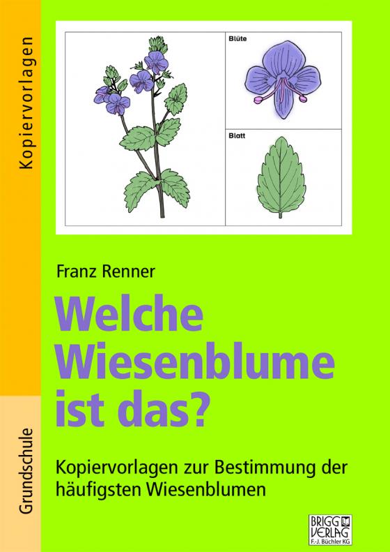 Cover-Bild Welche Wiesenblume ist das?