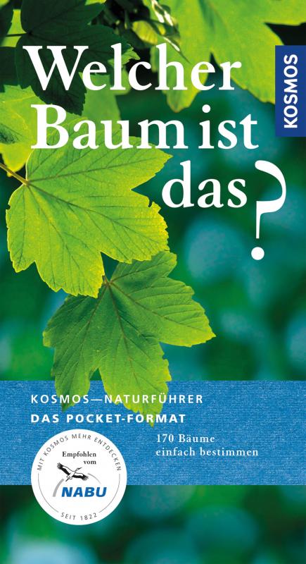 Cover-Bild Welcher Baum ist das?