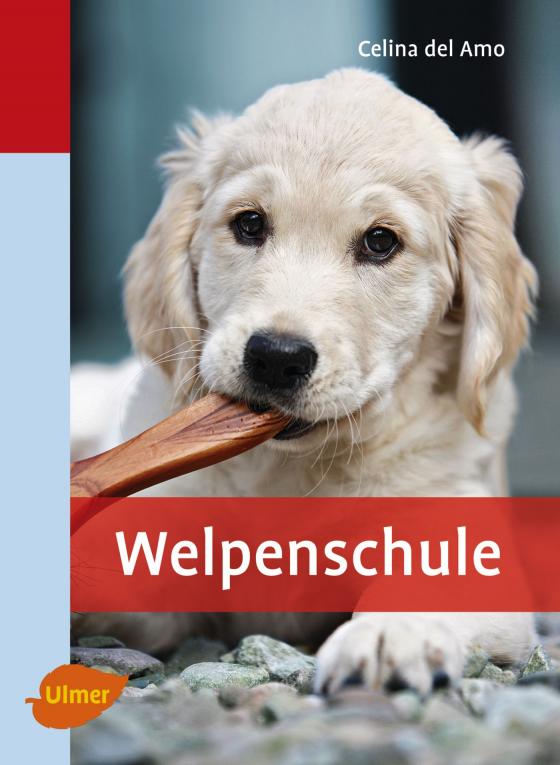 Cover-Bild Welpenschule