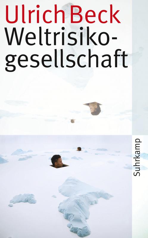 Cover-Bild Weltrisikogesellschaft