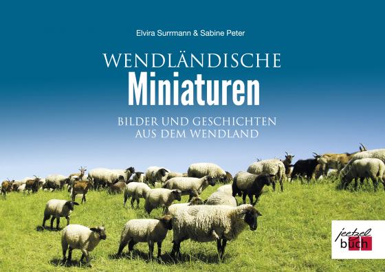 Cover-Bild Wendländische Miniaturen