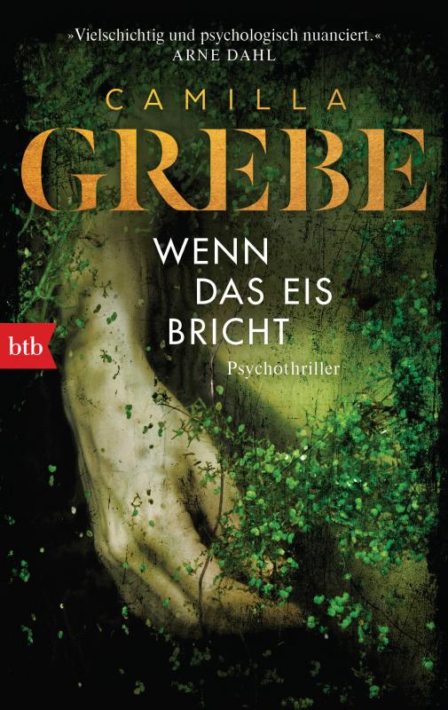 Cover-Bild Wenn das Eis bricht