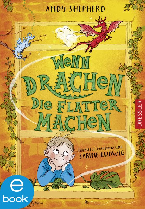 Cover-Bild Wenn Drachen die Flatter machen