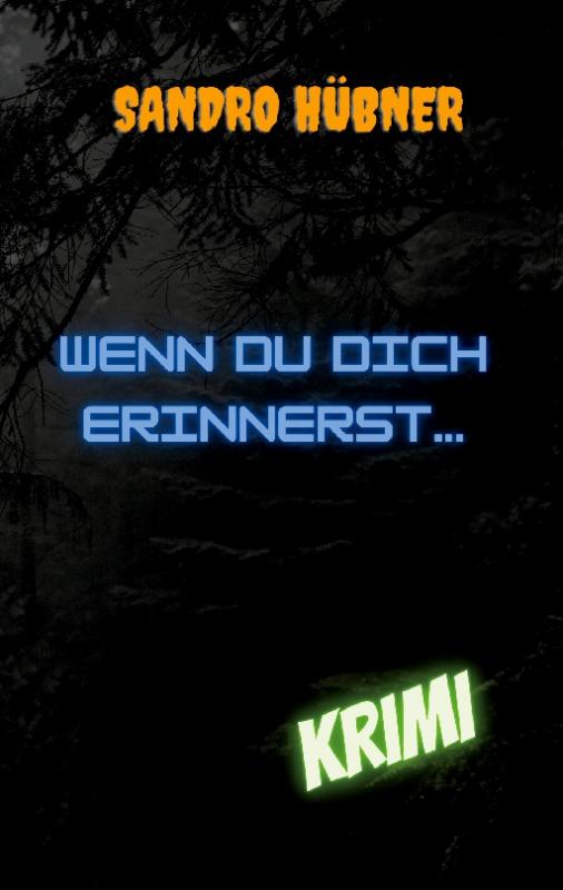 Cover-Bild Wenn du dich erinnerst...