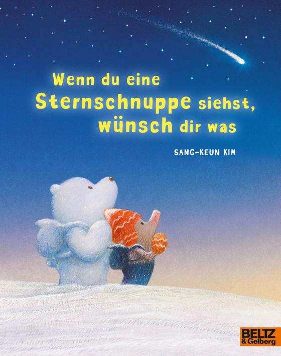 Cover-Bild Wenn du eine Sternschnuppe siehst, wünsch dir was