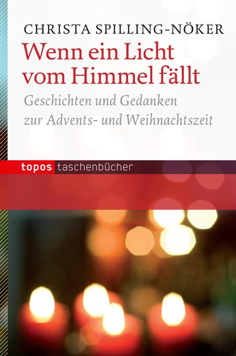 Cover-Bild Wenn ein Licht vom Himmel fällt