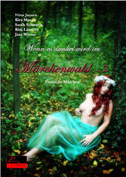 Cover-Bild Wenn es dunkel wird im Märchenwald ... 2