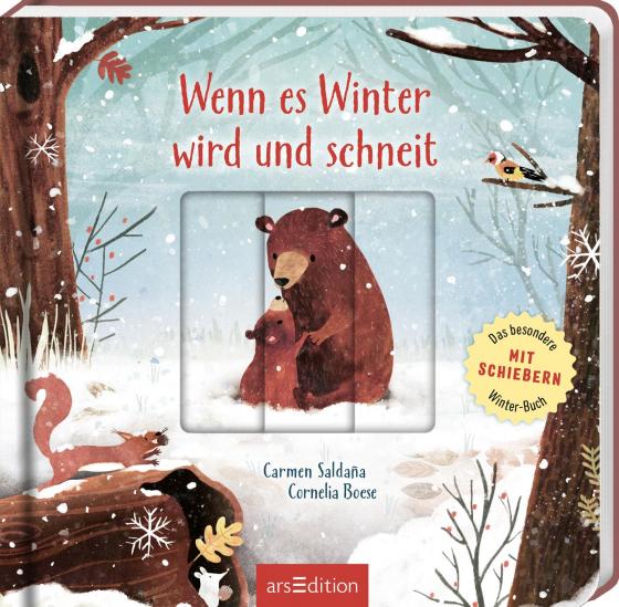 Cover-Bild Wenn es Winter wird und schneit