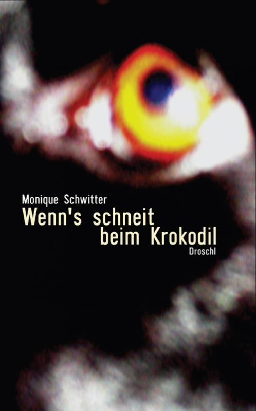 Cover-Bild Wenn's schneit beim Krokodil