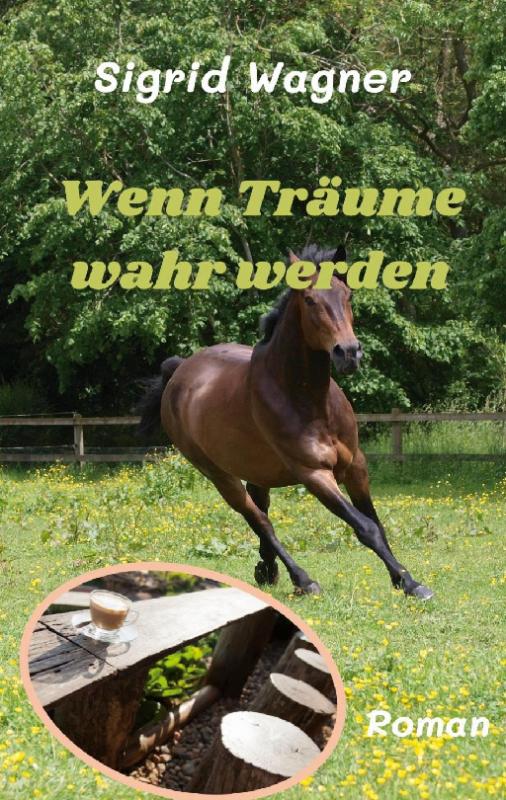 Cover-Bild Wenn Träume wahr werden