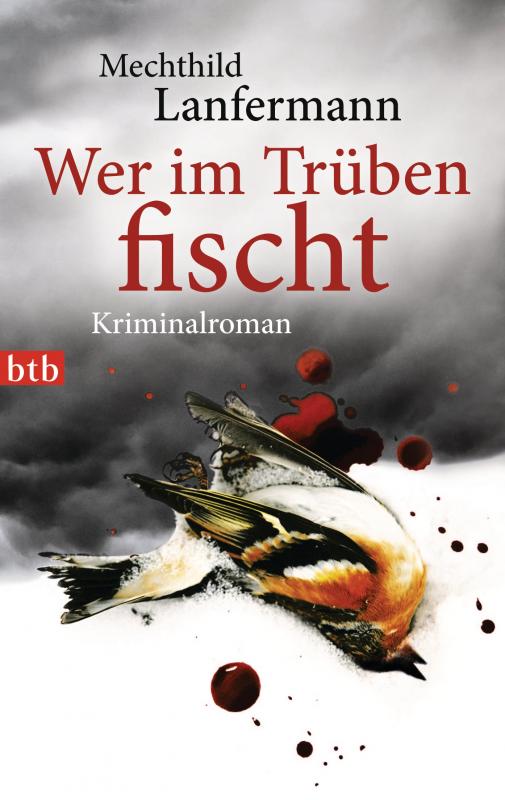 Cover-Bild Wer im Trüben fischt