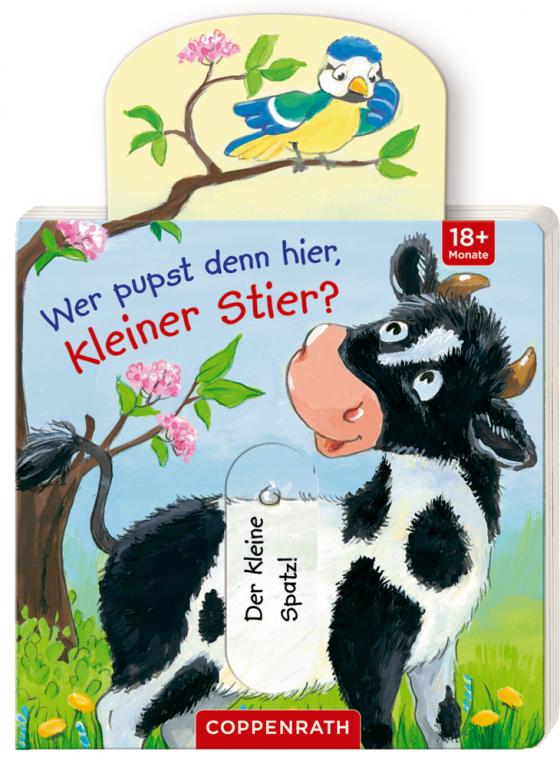 Cover-Bild Wer pupst denn hier, kleiner Stier?