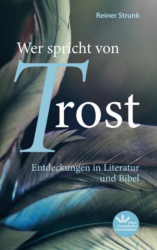 Cover-Bild Wer spricht von Trost