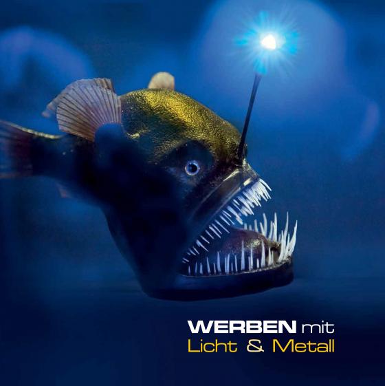Cover-Bild WERBEN mit Licht & Metall