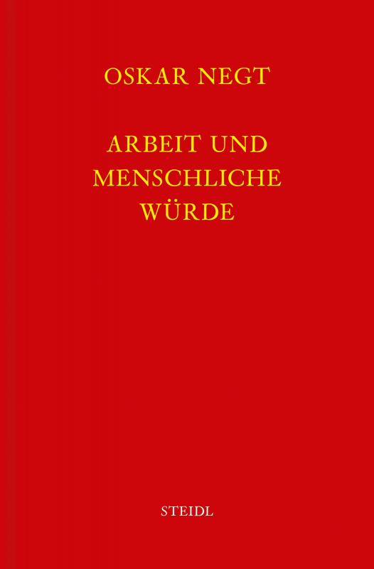 Cover-Bild Werkausgabe Bd. 13 / Arbeit und menschliche Würde