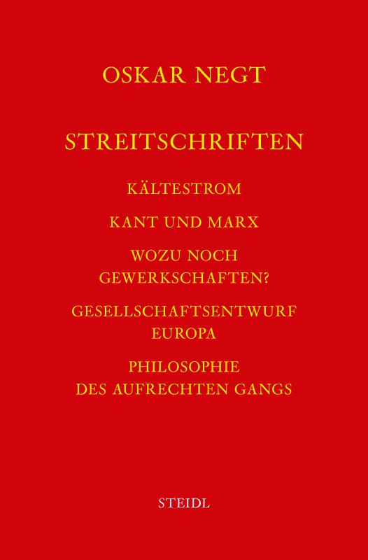 Cover-Bild Werkausgabe Bd. 18 / Streitschriften
