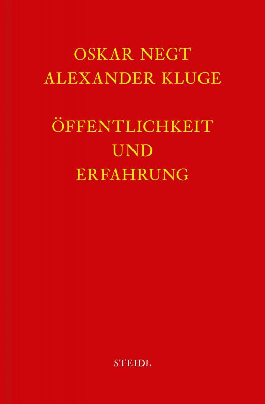 Cover-Bild Werkausgabe Bd. 4 / Öffentlichkeit und Erfahrung