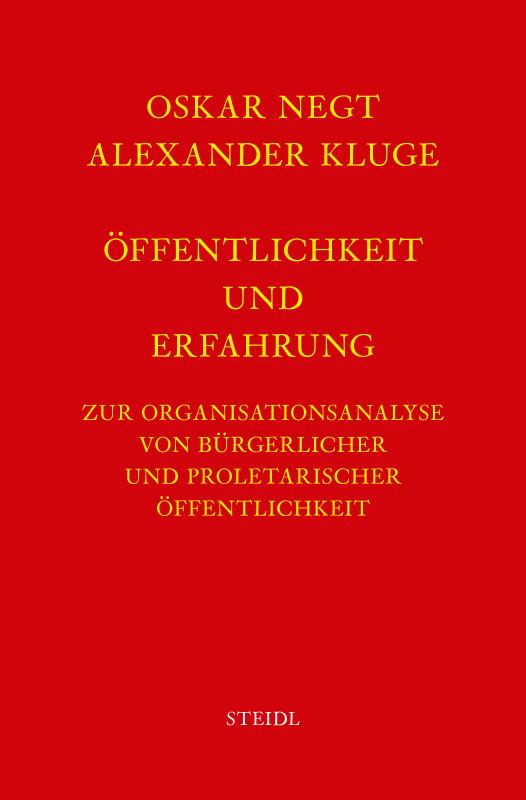 Cover-Bild Werkausgabe Bd. 4 / Öffentlichkeit und Erfahrung