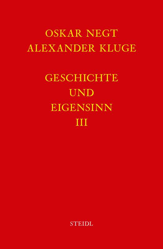 Cover-Bild Werkausgabe Bd. 6.3 / Geschichte und Eigensinn III: Gewalt des Zusammenhangs