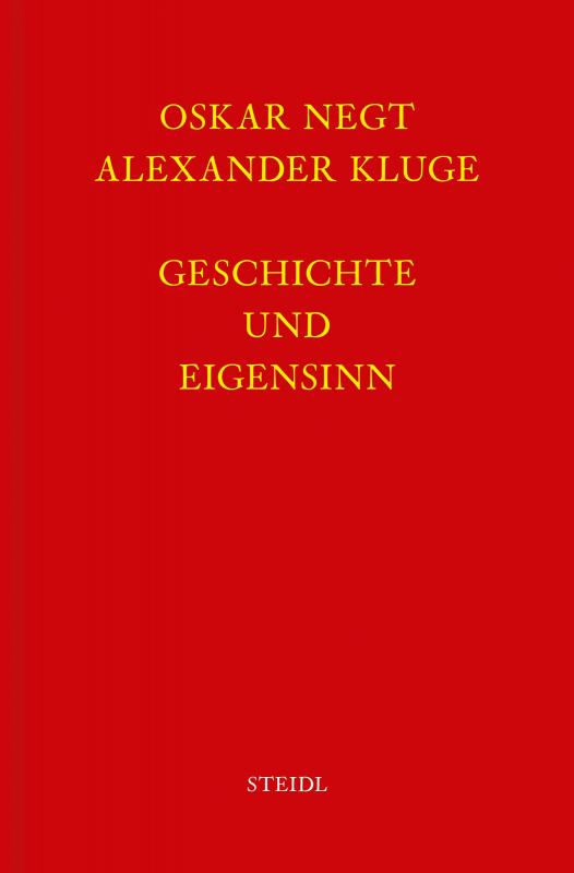 Cover-Bild Werkausgabe Bd. 6 / Geschichte und Eigensinn