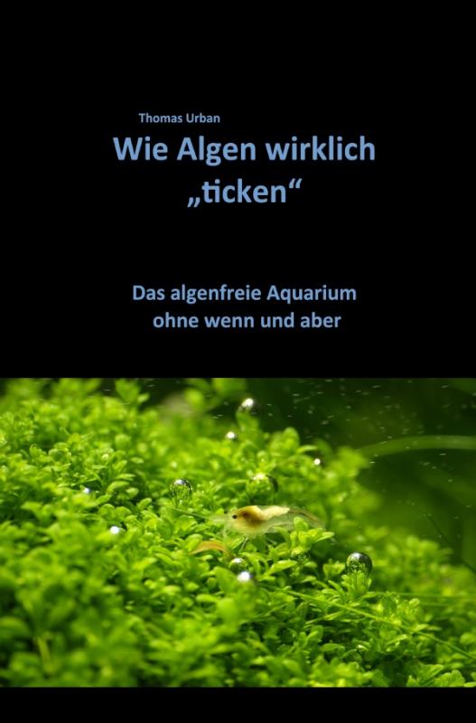 Cover-Bild Wie Algen wirklich "ticken"