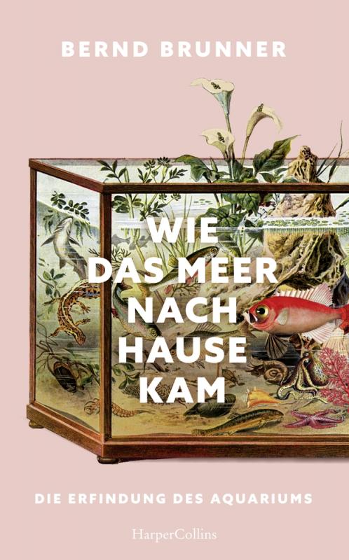 Cover-Bild Wie das Meer nach Hause kam. Die Erfindung des Aquariums