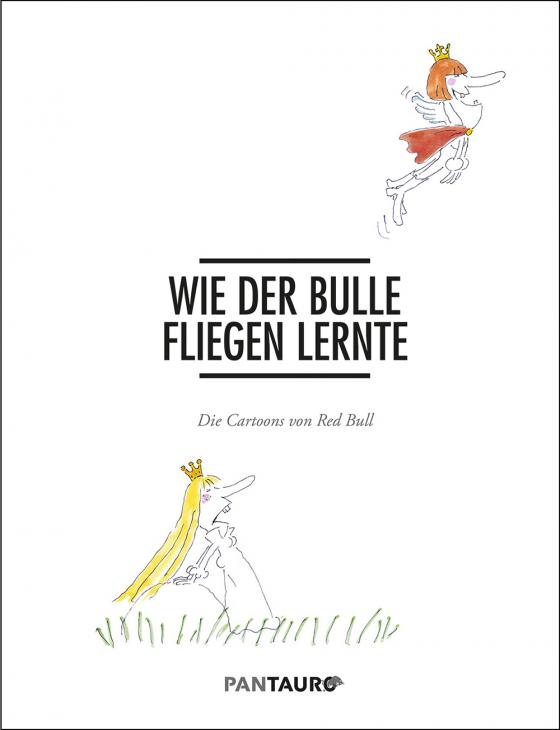 Cover-Bild Wie der Bulle fliegen lernte