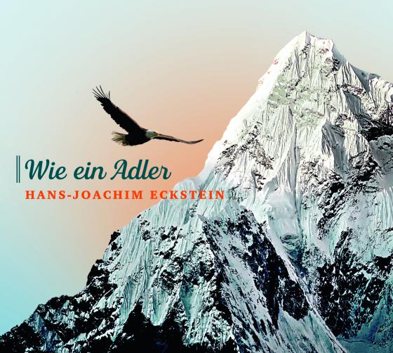 Cover-Bild Wie ein Adler