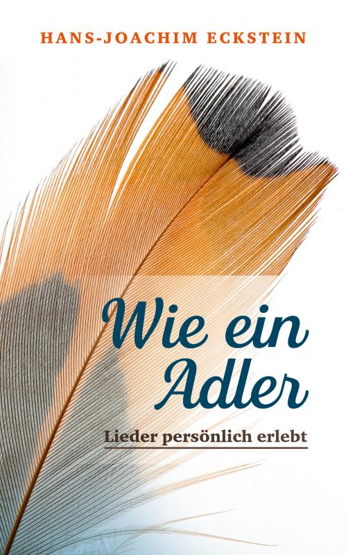 Cover-Bild Wie ein Adler