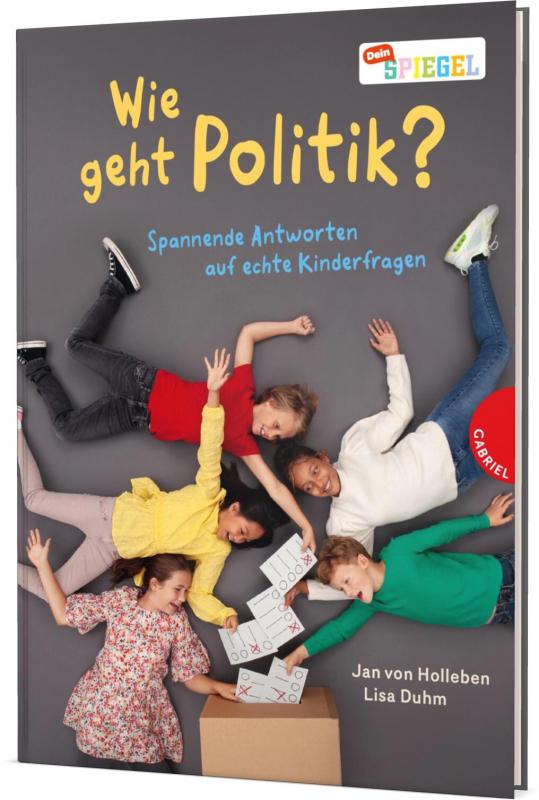 Cover-Bild Wie geht Politik?