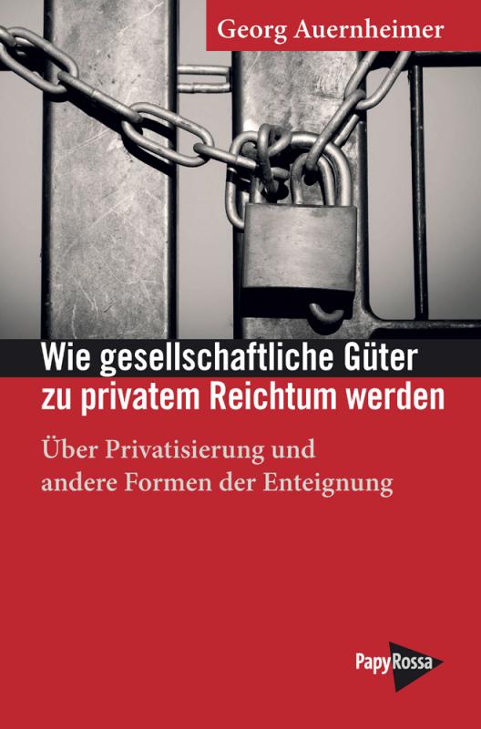 Cover-Bild Wie gesellschaftliche Güter zu privatem Reichtum werden