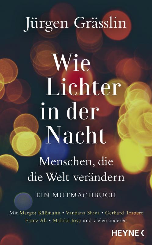 Cover-Bild Wie Lichter in der Nacht