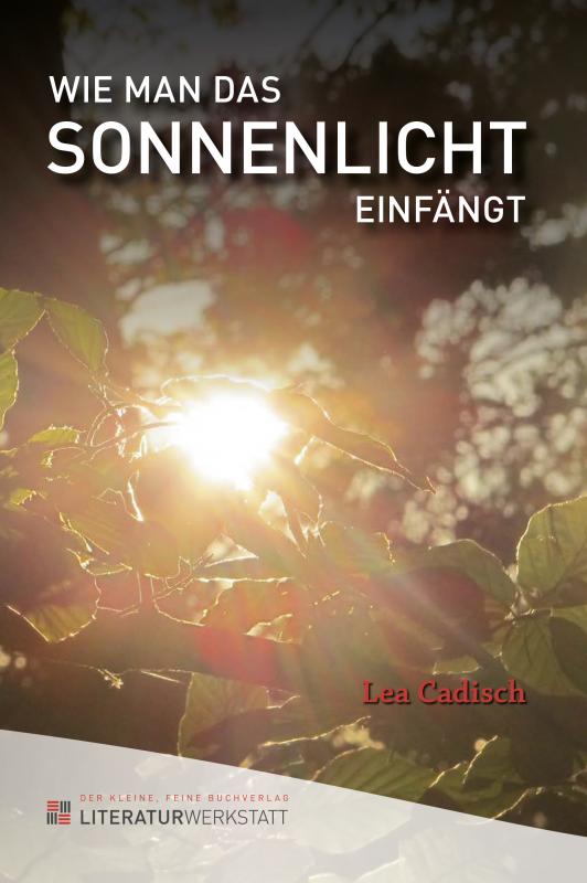 Cover-Bild Wie man das Sonnenlicht einfängt