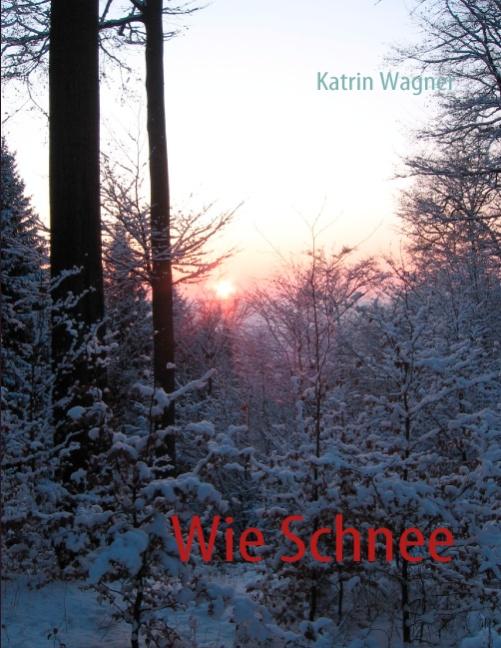 Cover-Bild Wie Schnee