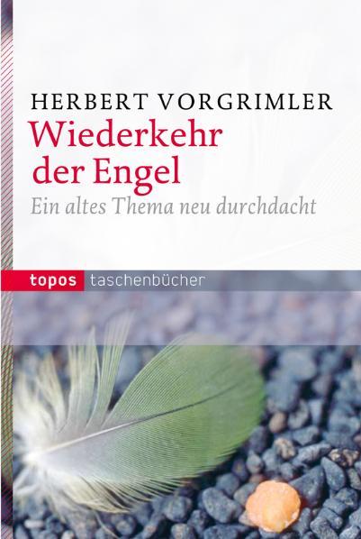 Cover-Bild Wiederkehr der Engel