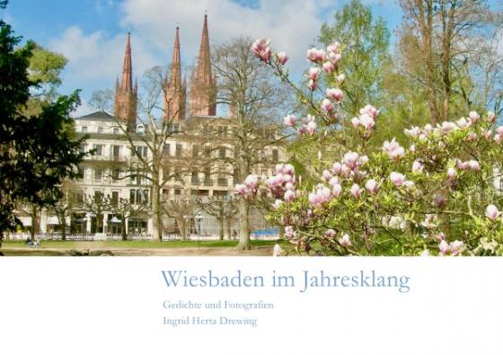 Cover-Bild Wiesbaden / Wiesbaden im Jahresklang