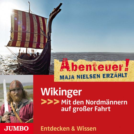 Cover-Bild Wikinger