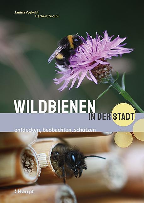 Cover-Bild Wildbienen in der Stadt