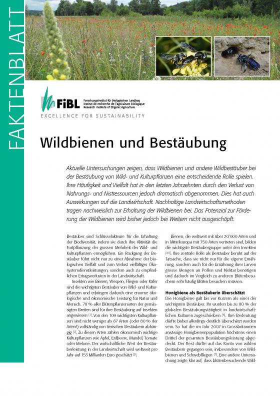 Cover-Bild Wildbienen und Bestäubung