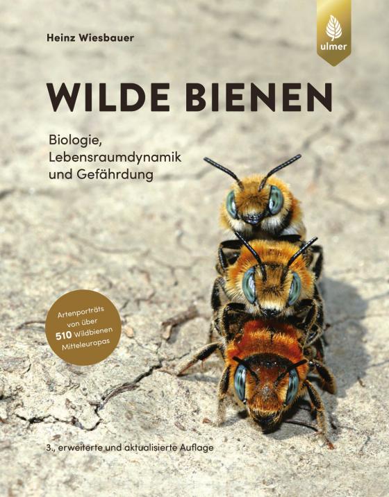 Cover-Bild Wilde Bienen