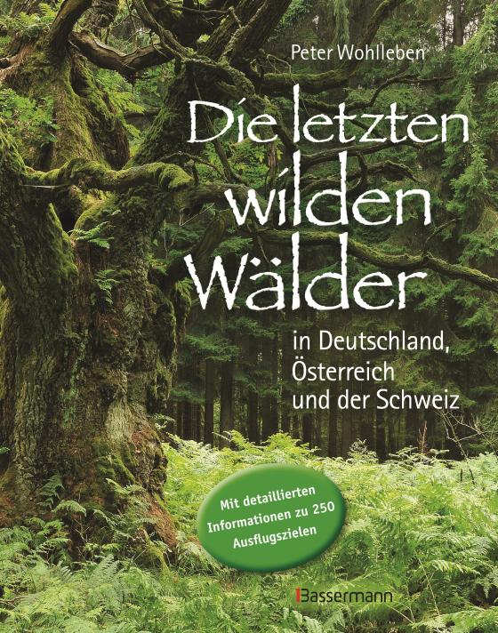 Cover-Bild Wilde Wälder