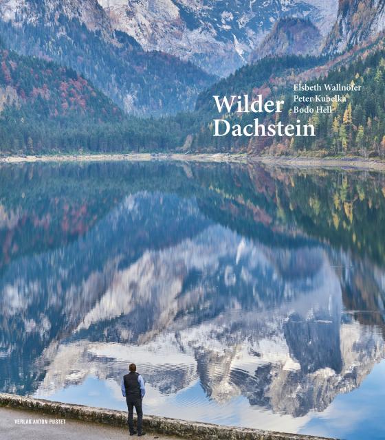 Cover-Bild Wilder Dachstein