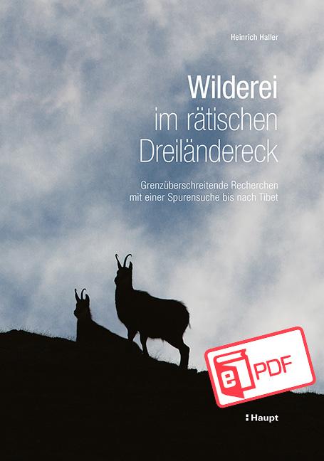 Cover-Bild Wilderei im rätischen Dreiländereck