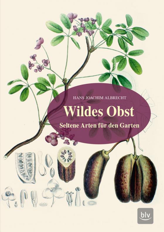 Cover-Bild Wildes Obst