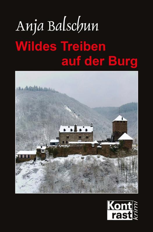 Cover-Bild Wildes Treiben auf der Burg