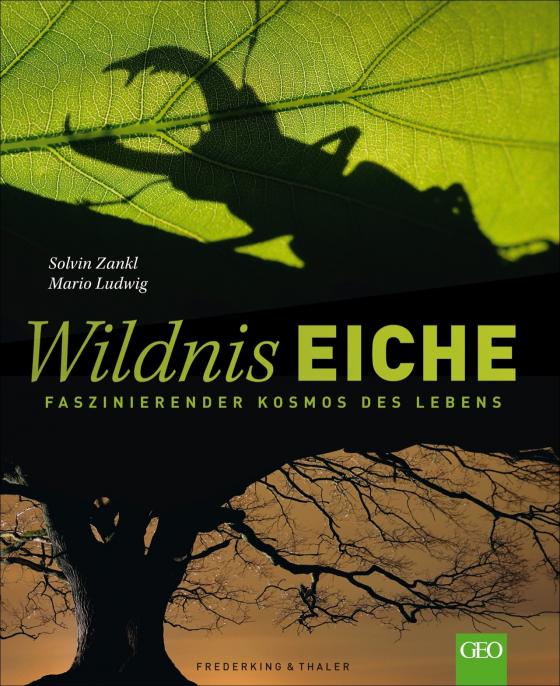 Cover-Bild Wildnis Eiche