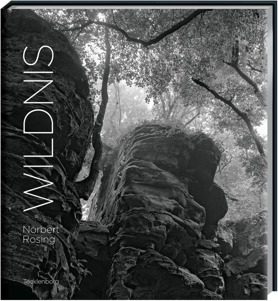 Cover-Bild Wildnis