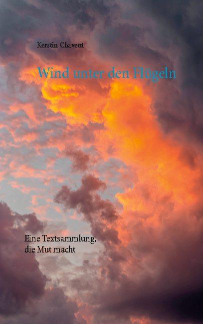 Cover-Bild Wind unter den Flügeln