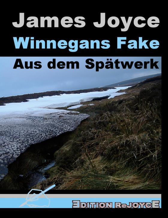 Cover-Bild Winnegans Fake