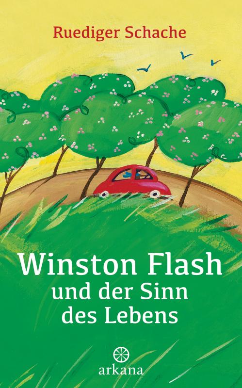Cover-Bild Winston Flash und der Sinn des Lebens